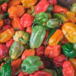 peppers - 640x427